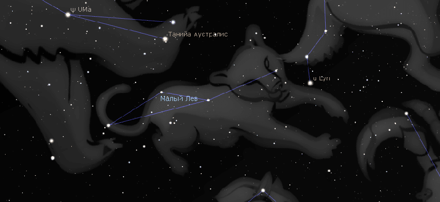 Созвездие малый лев какие звезды входят. Созвездие Лео минор. Созвездие малый Лев. Малый Лев Созвездие схема. Малый Лев Созвездие яркие звёзды.