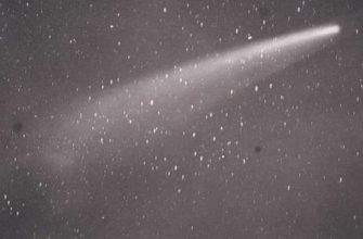 Кома кометы