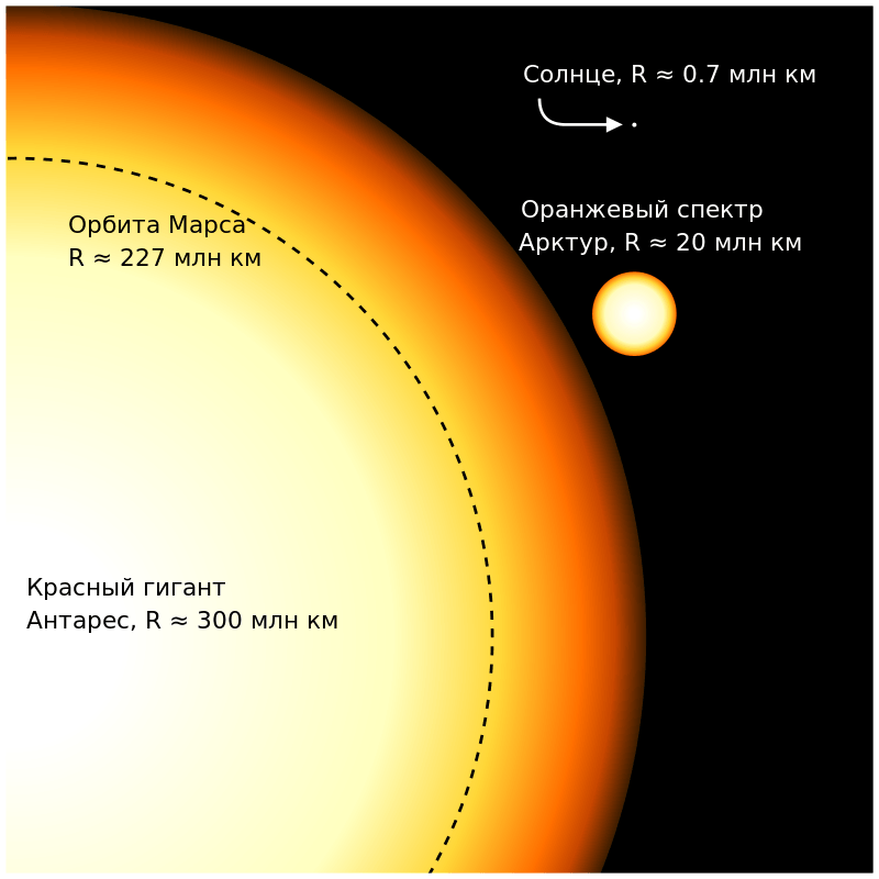 Сравнение размеров Антареса, Арктура, Солнца и орбиты Марса