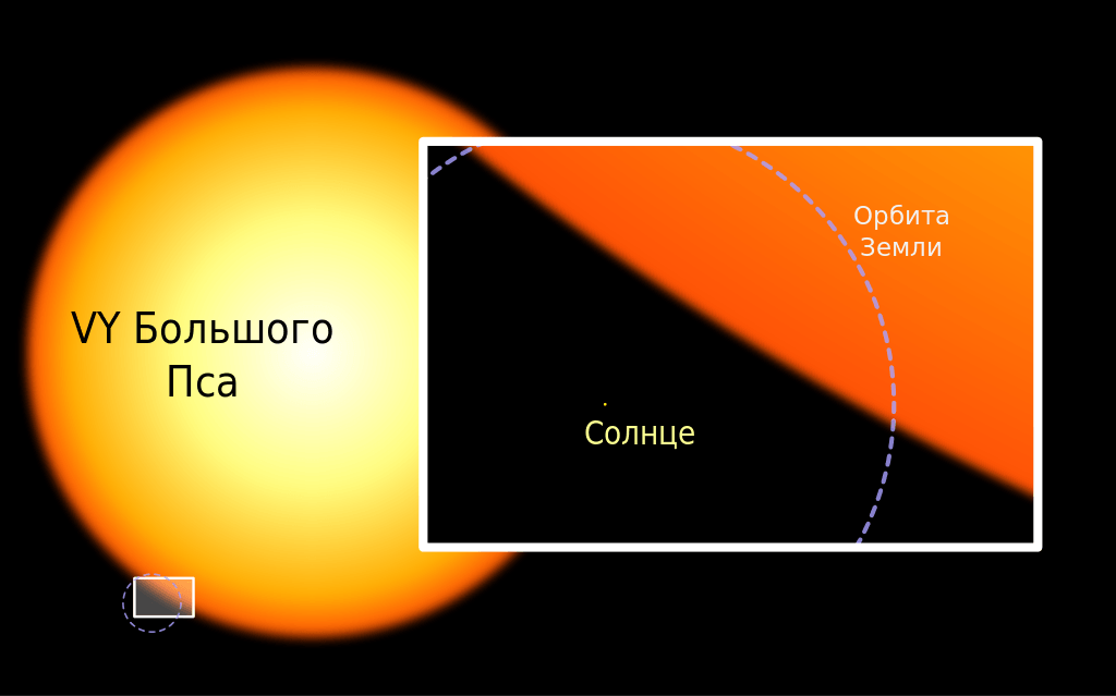 Сравнение размеров Солнца и VY CMa