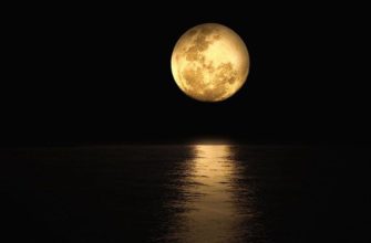 Луна – искусственный спутник Земли